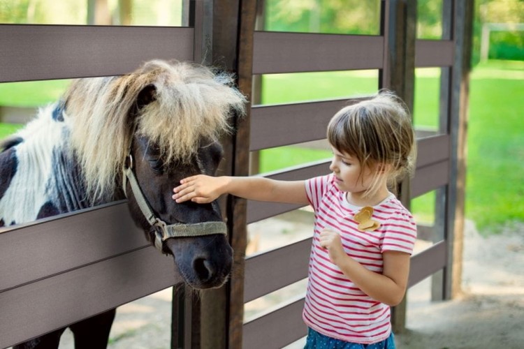 GAMRAT - Sztacheta pozioma WPC 150x19mm Classic / ciemny brąz - REALIZACJA