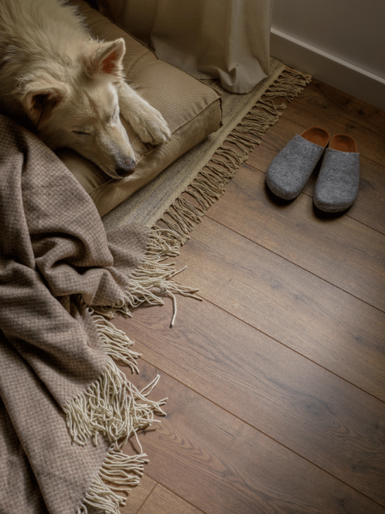 VOX podłoga laminowana Querra Magna WR - Dąb Albero AC4 8mm 4V - realizacja