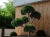 VOX KERRAFRONT malt oak - Deska elewacyjna FS-304 - realizacja