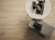vox-panele-winylowe-spc-rigio-oak-euris-z-podkladem-realizacja