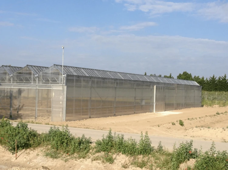 polyxo-plyta-trapezowa-z-poliweglanu-pc-gradoodporna-dymna-90cm-200cm-realizacja