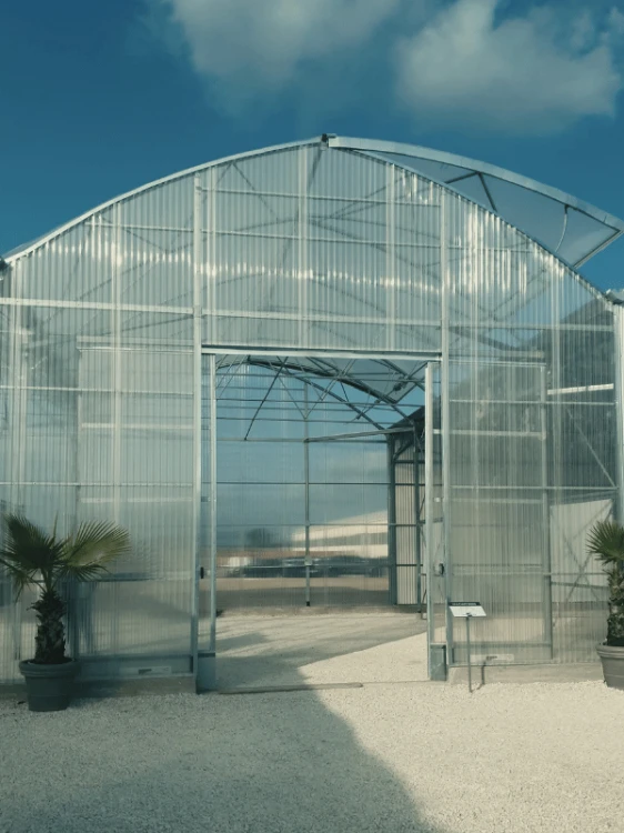 polyxo-plyta-trapezowa-z-poliweglanu-pc-gradoodporna-bezbarwna-90cm-200cm-realizacja