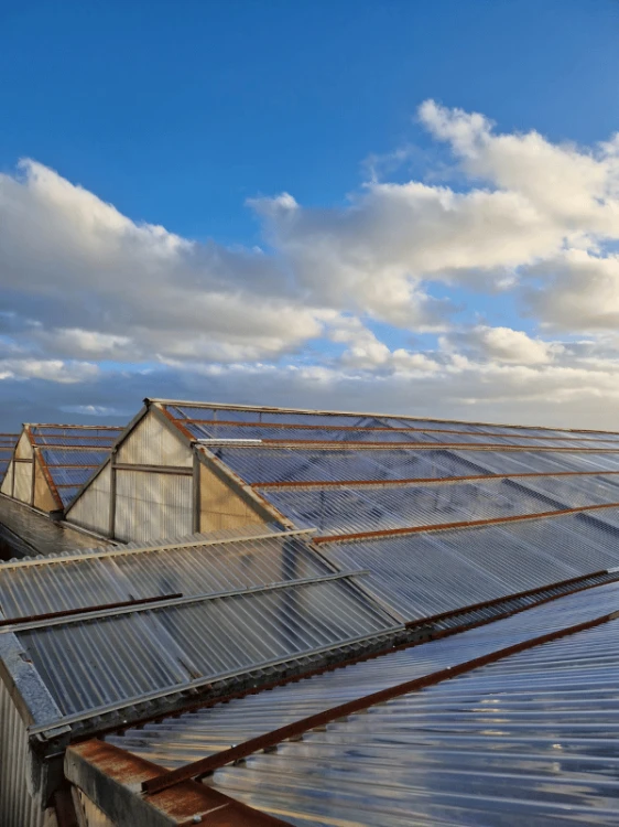 polyxo-plyta-trapezowa-z-poliweglanu-pc-gradoodporna-bezbarwna-90cm-200cm-realizacja