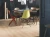 egger-panele-podlogowe-naturesense-dab-pinot-piaskowy-realizacja