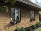 vilo-dab-miodowy-siding-svp-05-25cm-3m-wizaualizacja
