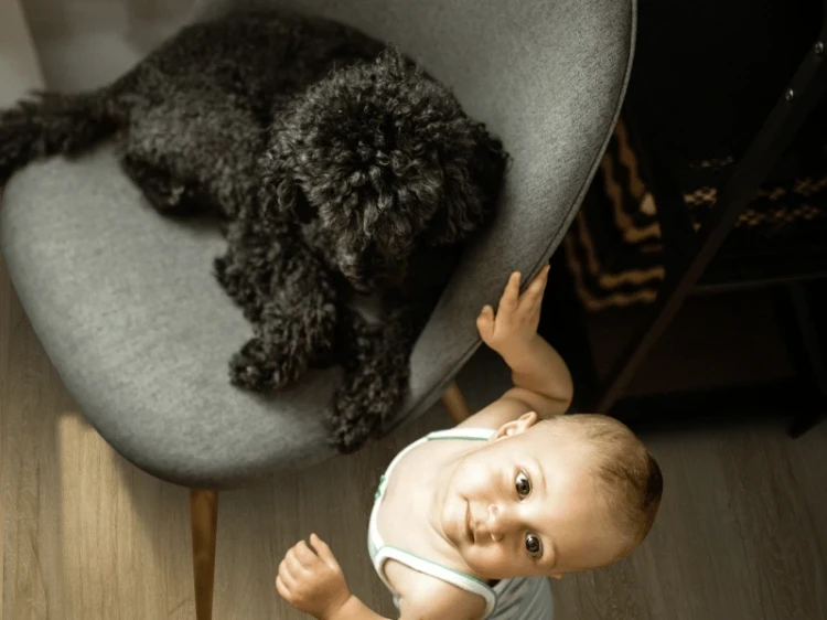 gerflor-panel-winylowy-senso-premium-rigid-ac authentic-nature-realizacja