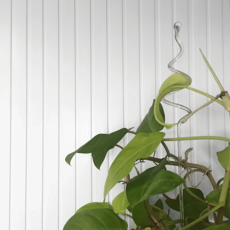 as-bialy-lamel-panel-scienny-i-podbitkowy-pvc-10cm-265cm-realizacja