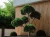 vox-kerrafront-malt-oak-deska-elewacyjna-fs-304-332mm-x-295cm-connex-realizacja