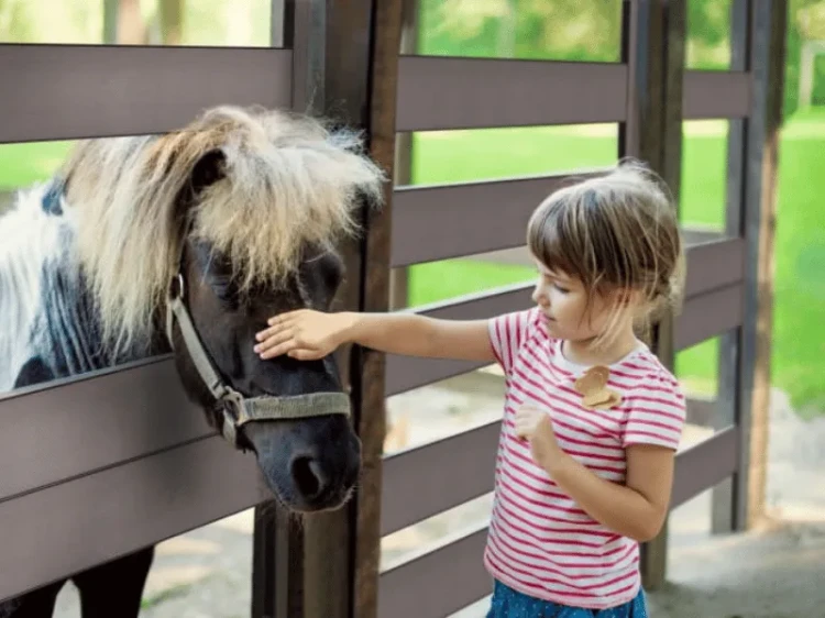 gamrat-ceownik-40cm-x-30cm-wpc-ciemny-braz-2m-realizacja