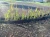 cellfast-obrzeze-ogrodowe-i-trawnikowe-grafitowe-9m-15cm-realizacja