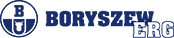 Boryszew logo
